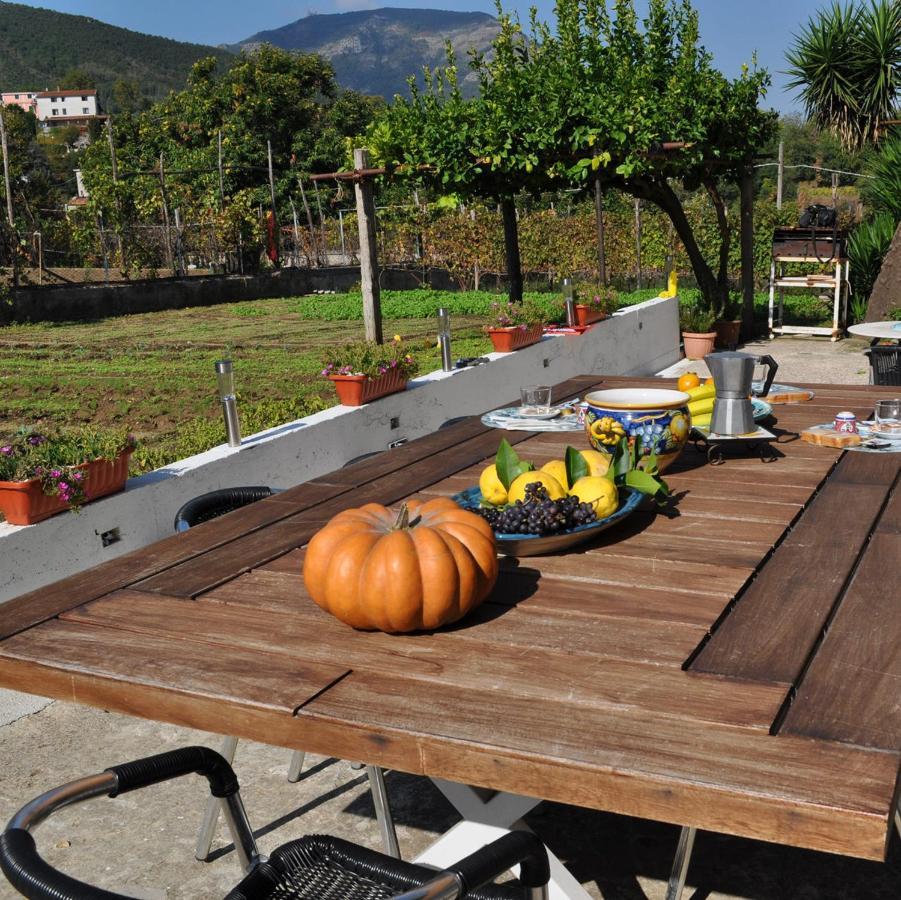 Bed and Breakfast Contrada Vigna Vietri Exterior foto
